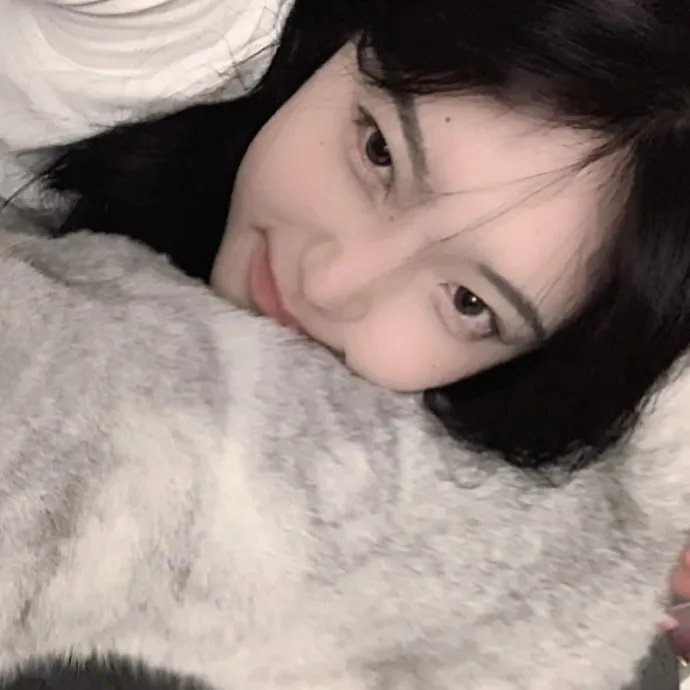 两只小猫的故事